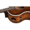 Ibanez Size 41 Acostic Guitar